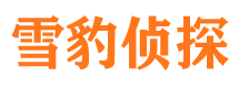 石林市私人侦探